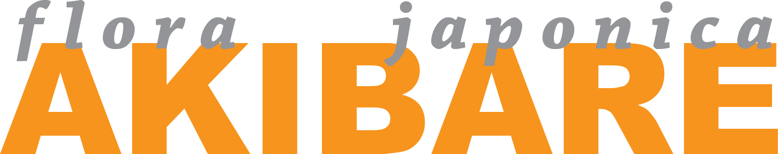 AKIBARE