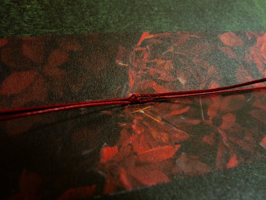 photo of the book shokuyoku no aki