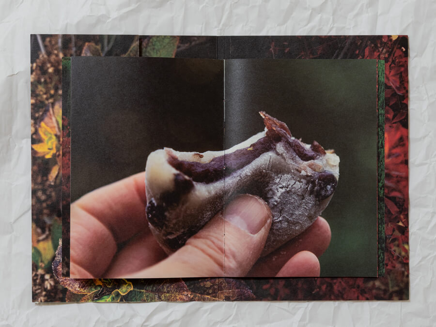 photo of the book shokuyoku no aki