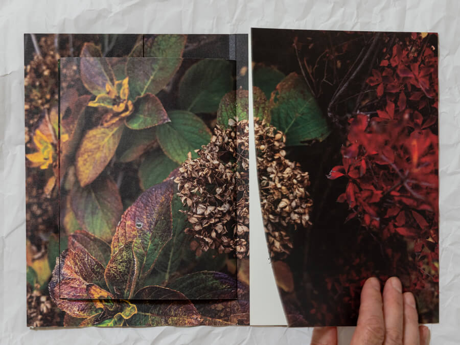 photo of the book shokuyoku no aki