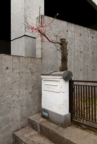 mailbox in Shibuya ward, Tokyo